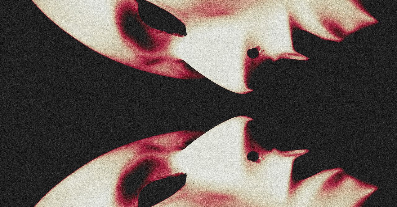 AI სახის შეცვლის ტექნოლოგია Haotian თაღლითობისთვის გამოიყენება