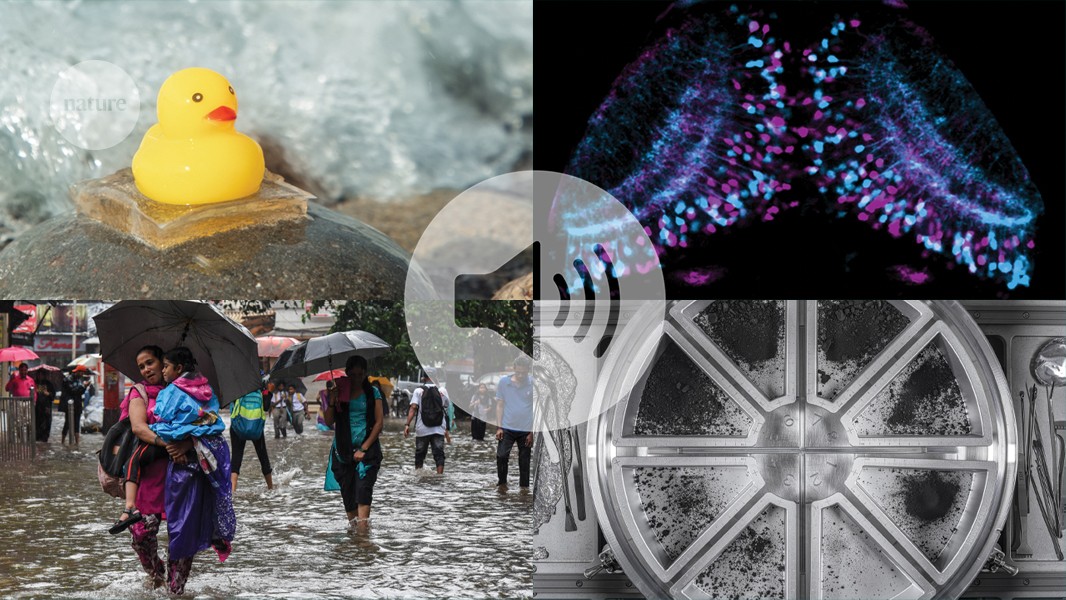 ასტეროიდ ბენუზე უძველესი მლაშე წყლის კვალი აღმოჩნდა