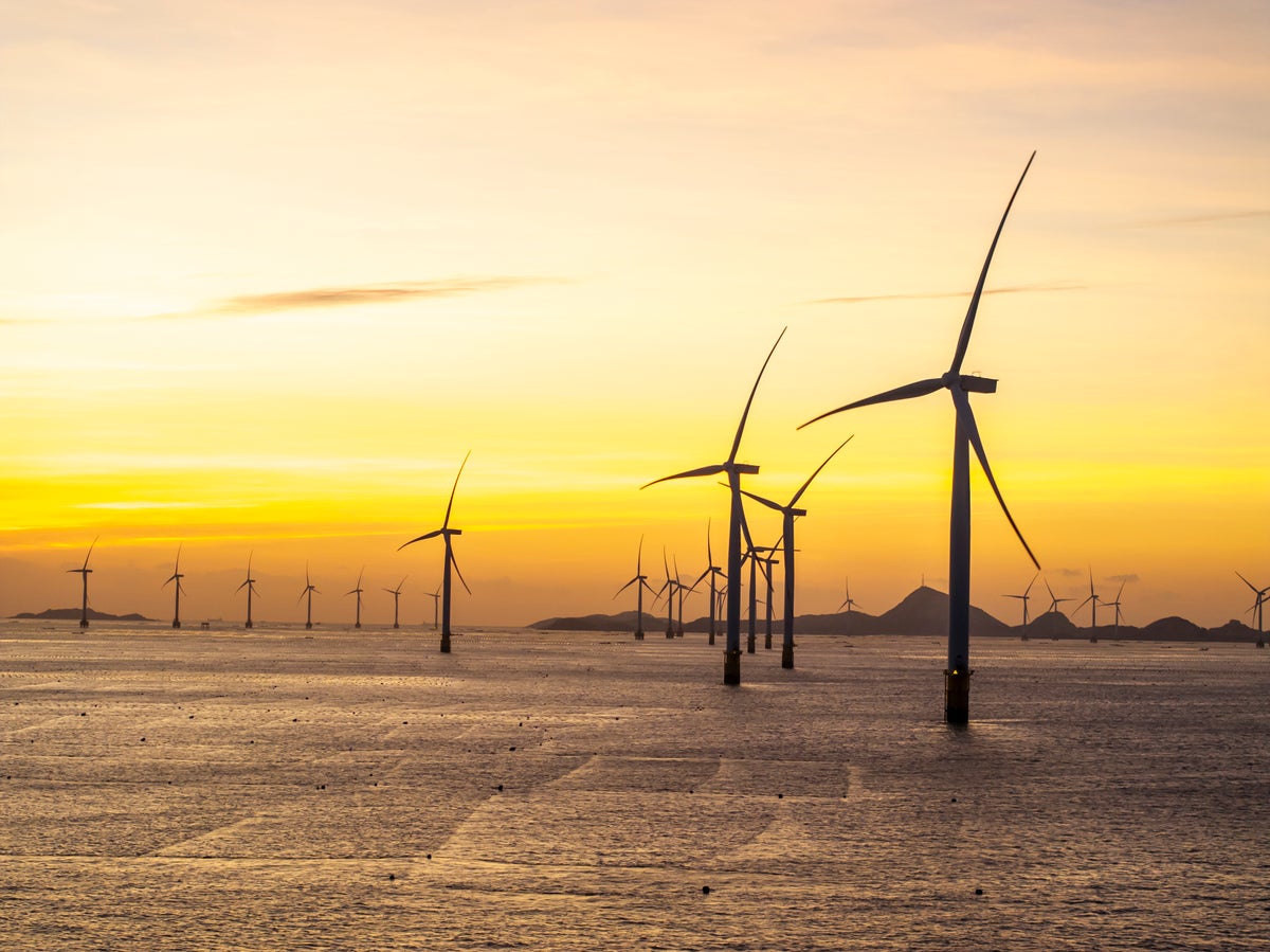 ოფშორული ქარის ფერმები: ენერგია და ზღვის ეკოსისტემების აღორძინება