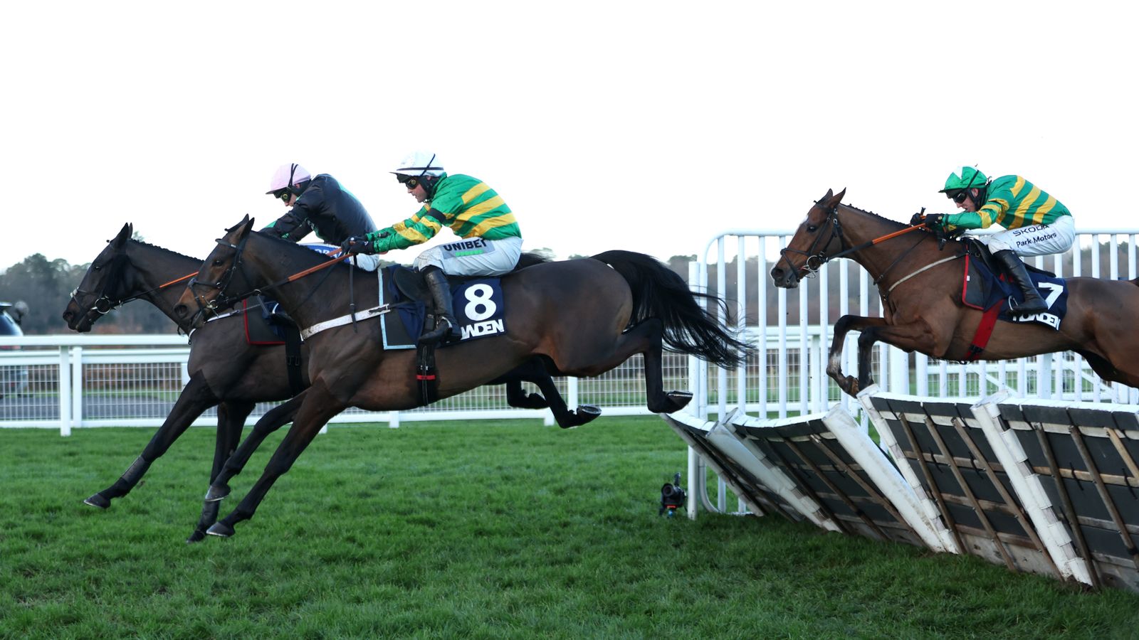 Impose Toi-მ Long Walk Hurdle მოიგო ასკოტზე