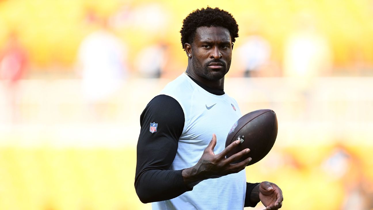 Steelers-ის DK მეტკალფმა მატჩზე გულშემატკივარს ხელი დაარტყა